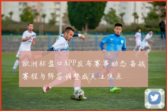欧洲杯盘口APP发布赛事动态 备战赛程与阵容调整成关注焦点
