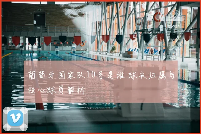 葡萄牙国家队10号是谁 球衣归属与核心球员解析